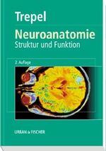 Neuroanatomie – Struktur und Funktion