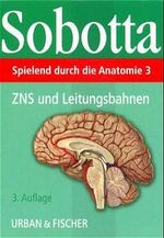 Spielend durch die Anatomie – ZNS und Leitungsbahnen