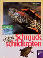 ISBN 9783440069509: Wunderschöne Schmuckschildkröten. Dem Kosmos-Rat vertrauen. Meine Schmuck-Schildkröte fühlt sich wohl - Für Kinder und Erwachsene