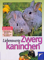 Liebenswerte Zwergkaninchen