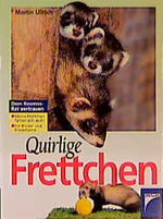 Quirlige Frettchen