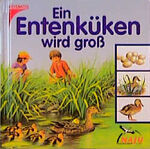 ISBN 9783440080146: Ein Entenküken Wird groß