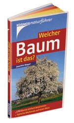 Welcher Baum ist das? – 170 Bäume einfach bestimmen; Typische Merkmale auf einen Blick