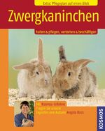 ISBN 9783440103876: Zwergkaninchen