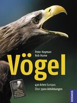 Peter Hayman (Autor), Rob Hume (Autor): Peter Hayman (Autor), Rob Hume (Autor):