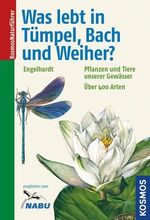 Was lebt in Tümpel, Bach und Weiher? – Pflanzen und Tiere unserer Gewässer