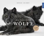 ISBN 9783440153130: Die Pipestone Wölfe - Aufstieg & Fall zweier kanadischer Wolfsfamilien