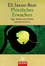 Plötzliches Erwachen - Ego, Seele und direkte Selbsterkenntnis