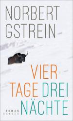 ISBN 9783446273986: Vier Tage, drei Nächte – Roman