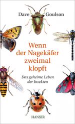 ISBN 9783446447004: Wenn der Nagekäfer zweimal klopft - Das geheime Leben der Insekten