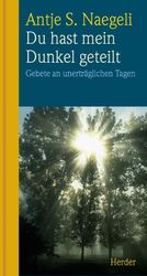 Du hast mein Dunkel geteilt – Gebete an unerträglichen Tagen