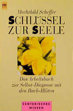 ISBN 9783453141018: Schlüssel zur Seele