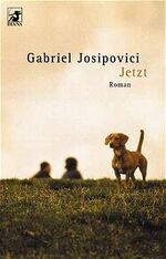 ISBN 9783453198241: Jetzt – Roman