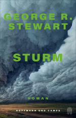 ISBN 9783455018721: Sturm