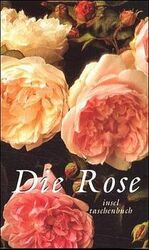 ISBN 9783458343196: Die Rose