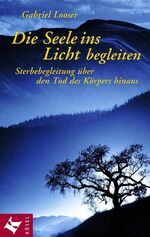 ISBN 9783466365661: Die Seele ins Licht begleiten Looser, Gabriel