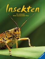 ISBN 9783473552146: Insekten - Die schönsten Bilder faszinierender Tiere