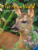 ISBN 9783473552856: Tiere im Wald – Die schönsten Bilder junger Tiere