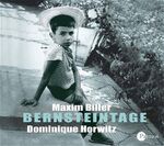 ISBN 9783491911741: Bernsteintage