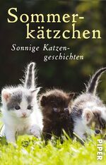 Sommerkätzchen – Sonnige Katzengeschichten