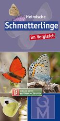 ISBN 9783494018096: Heimische Schmetterlinge | im Vergleich | Quelle & Meyer Verlag | Box | Quelle & Meyer Bestimmungskarten | 12 S. | Deutsch | 2020 | Quelle + Meyer | EAN 9783494018096