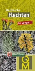 ISBN 9783494019482: 10er-Set: Heimische Flechten im Vergleich | Quelle & Meyer Verlag | Taschenbuch | Quelle & Meyer Bestimmungskarten | 10 S. | Deutsch | 2024 | Quelle + Meyer | EAN 9783494019482