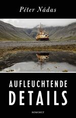 ISBN 9783498046972: Aufleuchtende Details – Memoiren eines Erzählers