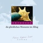 ISBN 9783502343004: Entdecke die glücklichen Momente im Alltag