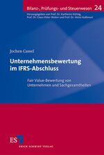 ISBN 9783503138807: Unternehmensbewertung im IFRS-Abschluss - Fair Value-Bewertung von Unternehmen und Sachgesamtheiten