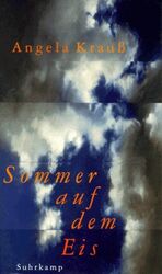 ISBN 9783518409930: Sommer auf dem Eis