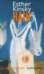 ISBN 9783518427897: Hain - Geländeroman