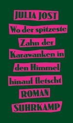 Wo der spitzeste Zahn der Karawanken in den Himmel hinauf fletscht - Roman