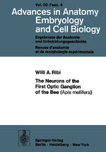 ISBN 9783540070962: The Neurons of the First Optic Ganglion of the Bee (Apis mellifera)