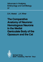 ISBN 9783540157267: The Comparative Anatomy of Neurons: Homologous Neurons in the Medial Geniculate Body of the Opossum and the Cat