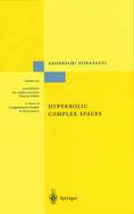 ISBN 9783540635345: Hyperbolic Complex Spaces