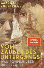 ISBN 9783548069913: Vom Zauber des Untergangs – Was Pompeji über uns erzählt | Vom Direktor des weltberühmten Archäologieparks Pompeji