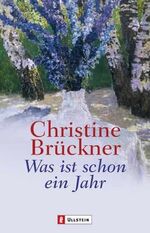 ISBN 9783548255293: Was ist schon ein Jahr