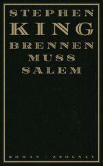 ISBN 9783552053816: Brennen muß Salem