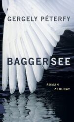 ISBN 9783552054301: Baggersee