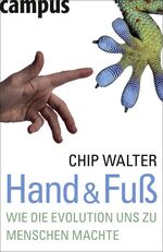 ISBN 9783593376448: Hand & Fuß – Wie die Evolution uns zu Menschen machte