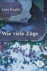 ISBN 9783596149926: Wie viele Züge