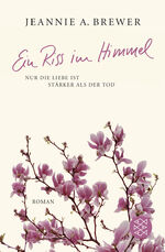 ISBN 9783596178780: Ein Riss im Himmel – Roman