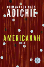 Americanah – Roman