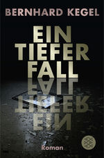 ISBN 9783596193905: Ein tiefer Fall: Roman