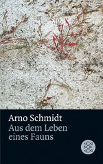 ISBN 9783596291120: Aus dem Leben eines Fauns – Kurzroman