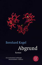 ISBN 9783596299614: Abgrund