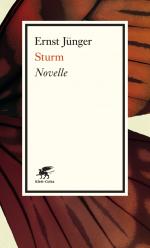 ISBN 9783608960778: Sturm – Novelle