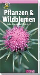 Pflanzen & Wildblumen - erkennen & bestimmen