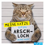 Meine Katze ist ein Arschloch - Deine auch?