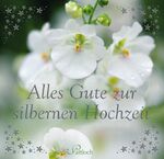 ISBN 9783629103536: Alles Gute zur silbernen Hochzeit